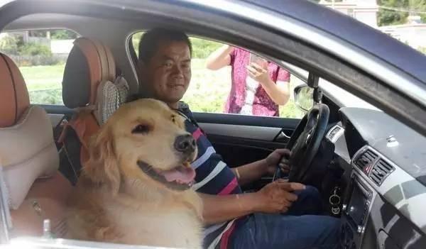 网易云音乐歌词显示在汽车_网易云音乐车载显示歌词_网易云汽车显示歌词