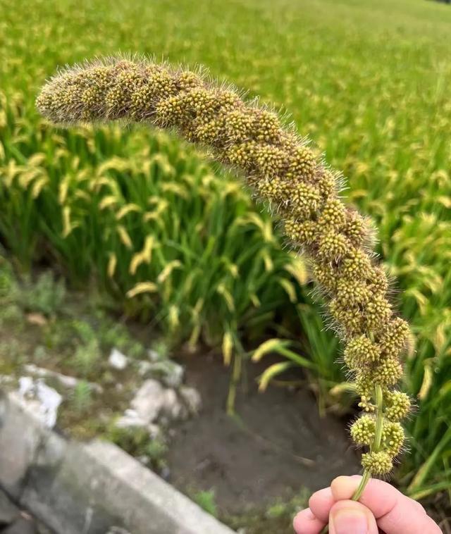 切换账号小米手机游戏怎么登录_小米手机怎么游戏切换账号_小米手机玩游戏账号切换