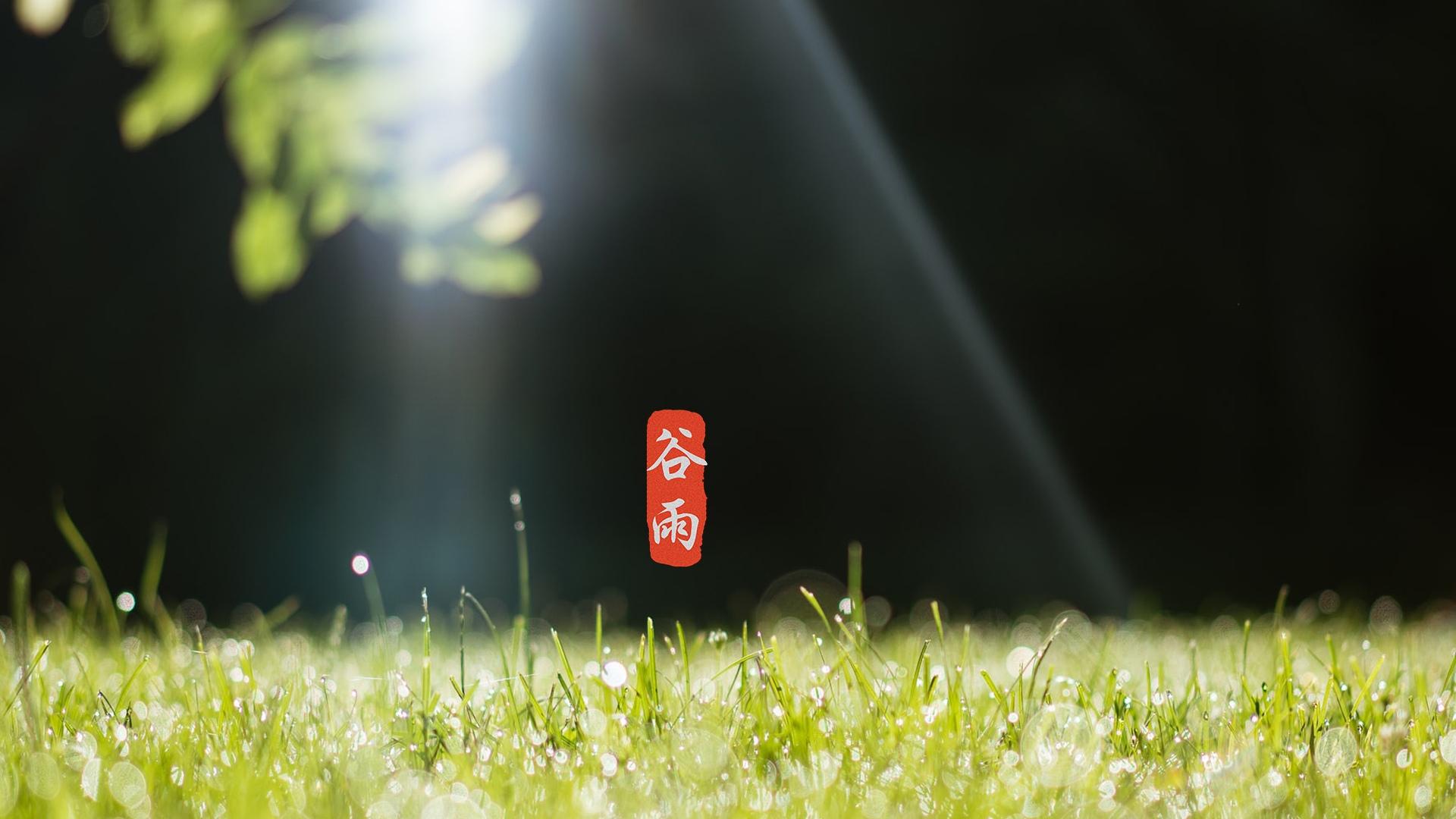 4月20日是什么节日-4月20日，谷雨爱情节？丰收还是浪漫，这一天有着怎样的魔力？