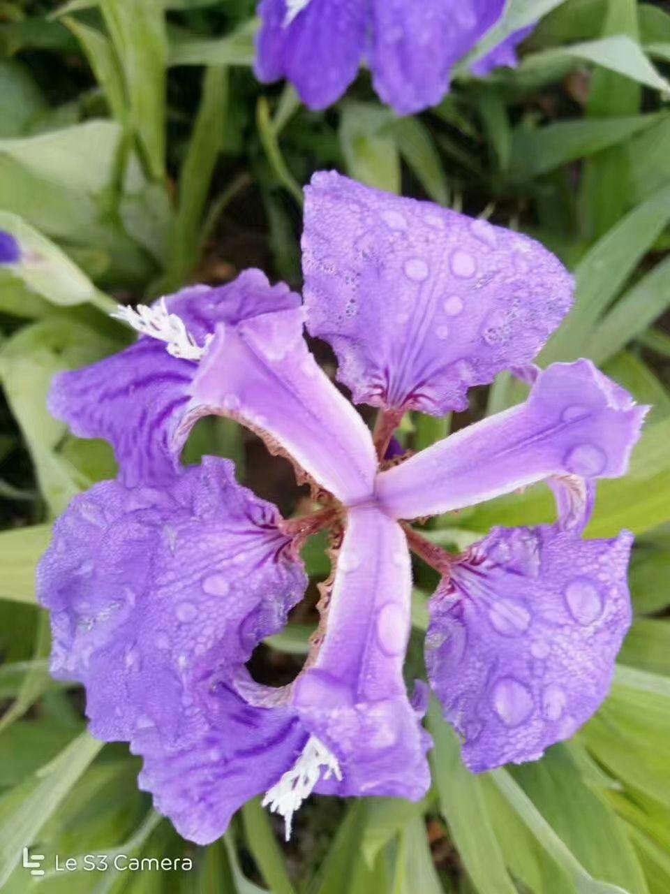 雨后小的故事全集图完整版_雨后小故事gif图动态_雨后动态故事全集图