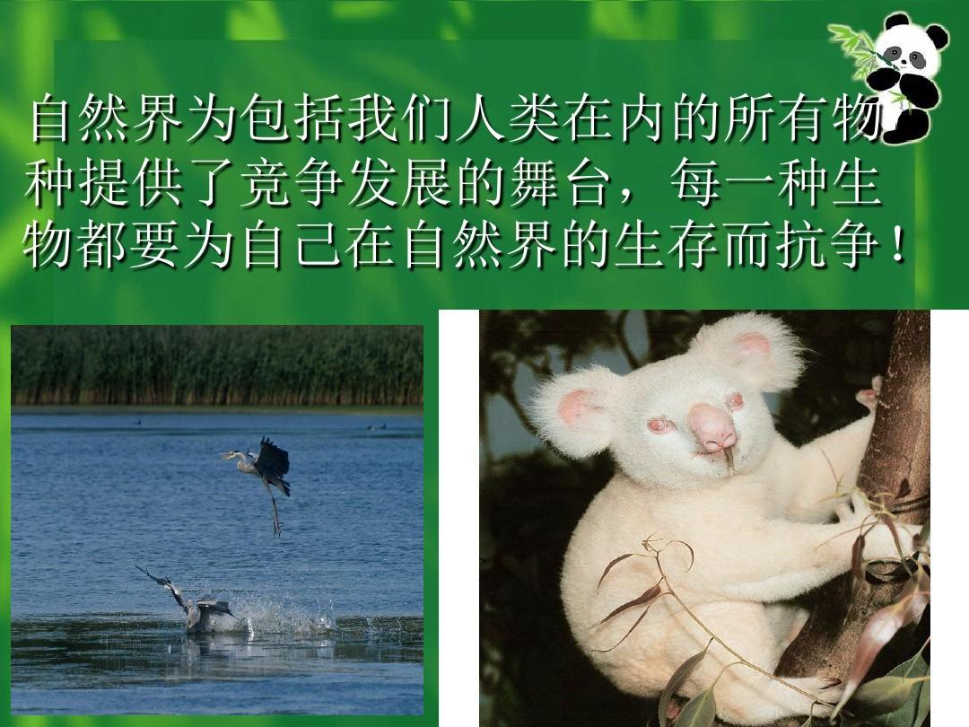 教牛马_教牛马_教牛马