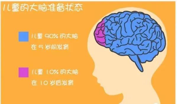 填字母手机游戏_英语填字母游戏app_填字母的游戏