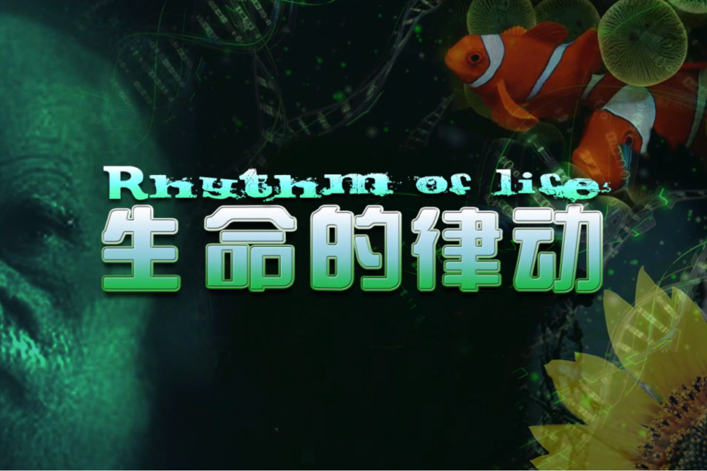海无量_无量海钓_无量道尊