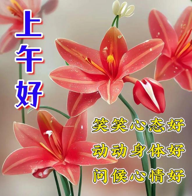 妮妮鬼故事_乖孩子妮妮_妮妮