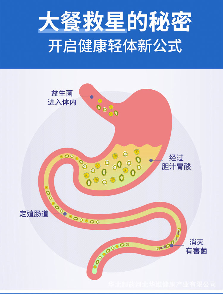 虚拟光驱：电脑里的小秘密武器，方便快捷的救星