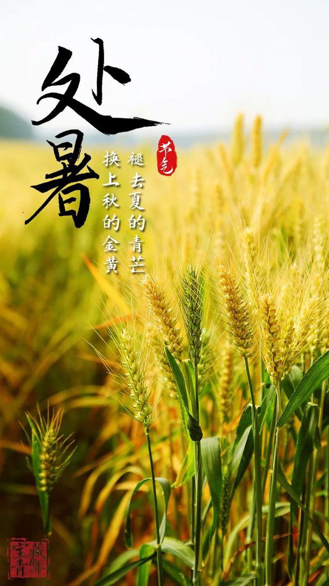处暑的意思-处暑：夏天的尾声，既有不舍又有美好