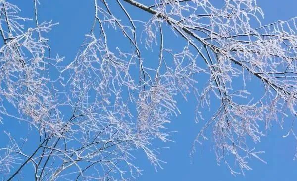 凌美雪_凌美琪凌美雪严莉莉_艹凌美雪和凌美琪