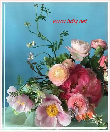 聚兽套装_极兽聚_聚兽铠甲重装在哪