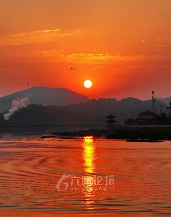 小岛的游戏叫什么_小岛游戏手机版_小岛版手机游戏推荐