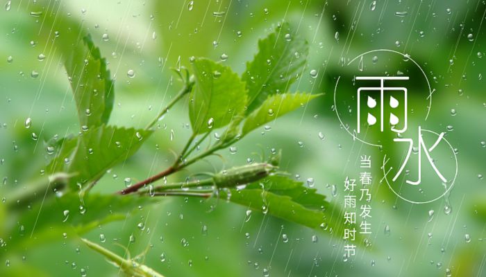 雨水是什么意思-雨水：不仅仅是自然现象，更是一种深深的记忆与情感