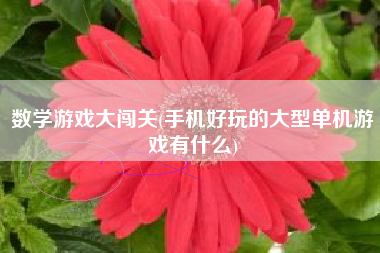 一部手机玩两款游戏可以吗_能不能玩手机游戏_手机玩游戏能玩坏吗