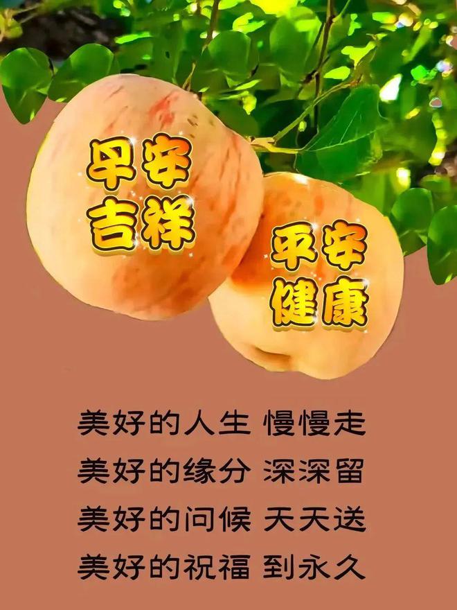 莉亚梅森_梅晓郡梅晓夏_梅莉亚