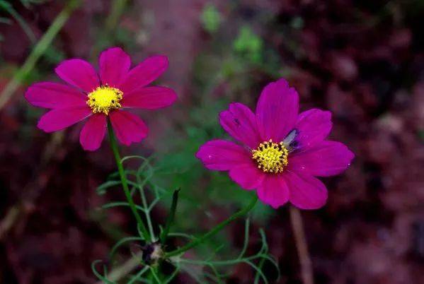 三冥节：清明节、中元节、寒衣节，蕴含深情的传统节日