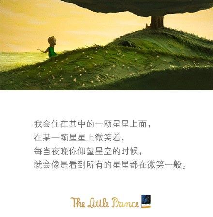 非凡影音：让你在喧嚣中找到情感寄托的视听盛宴