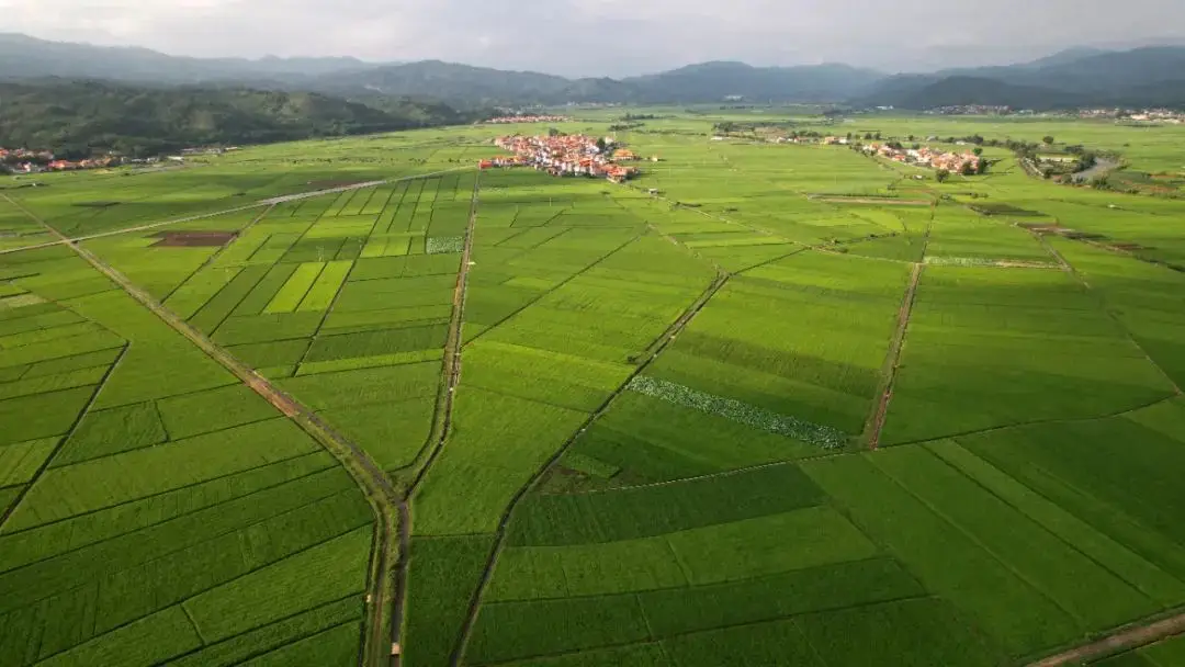 我和幼闪的奇妙冒险：探索公园小山丘，收获无尽快乐