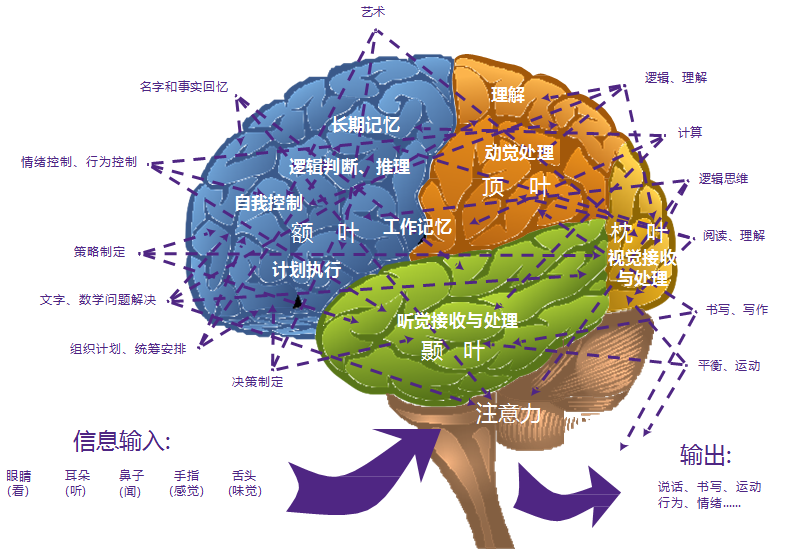 游戏训练小脑手机怎么玩_训练小脑游戏手机游戏_锻炼脑子的手机小游戏