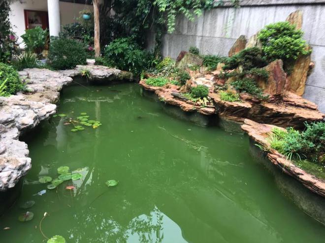 git设置密码-Git 设置密码为何如此困难？高级工程师的烦恼