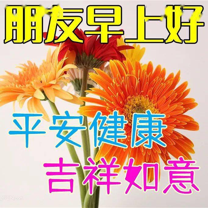 无尽旅途手机游戏-无尽旅途:指尖轻触,开启奇幻冒险之旅 无尽旅途手机游戏-无尽旅途:指尖轻触,开启奇幻冒险之旅