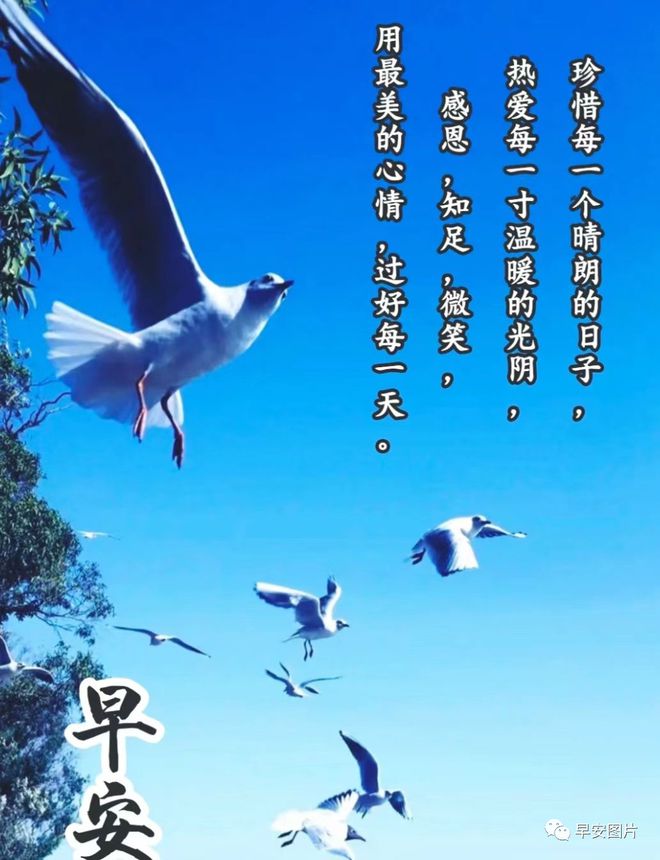 梶裕贵的声音：青春岁月的动力与安慰，带来无尽温暖甜蜜