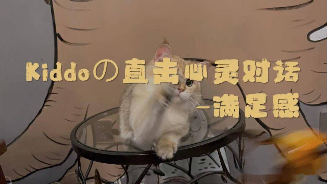 训练的手机游戏-神秘手机游戏：不仅是消磨时间的工具，更是心灵旅行与自我对话的桥梁