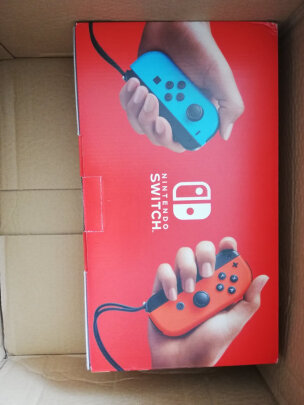 switch亚太版和日版区别-Switch 玩家必看：亚太版与日版到底该选哪个？