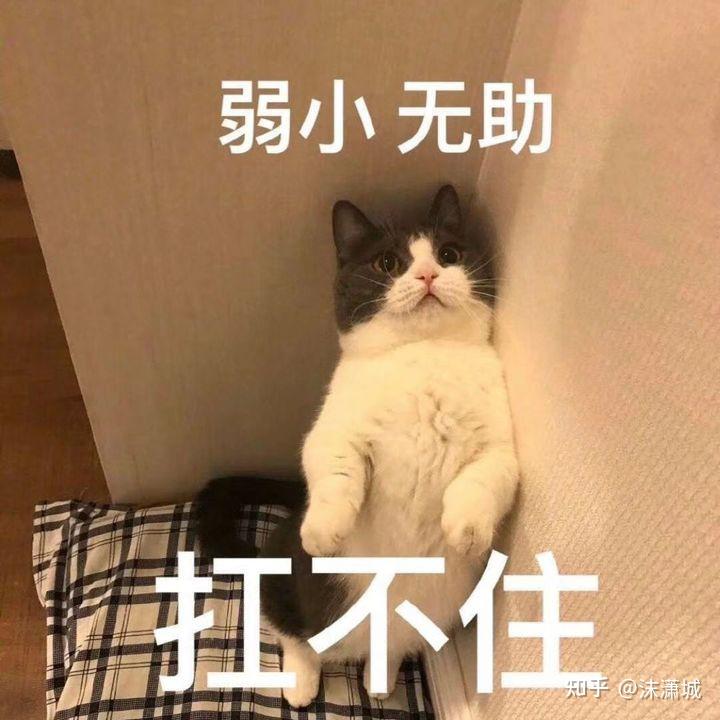 一排手机打游戏卡顿-手机卡顿让我在王者荣耀中遭遇尴尬，信誉积分被扣该如何解决？
