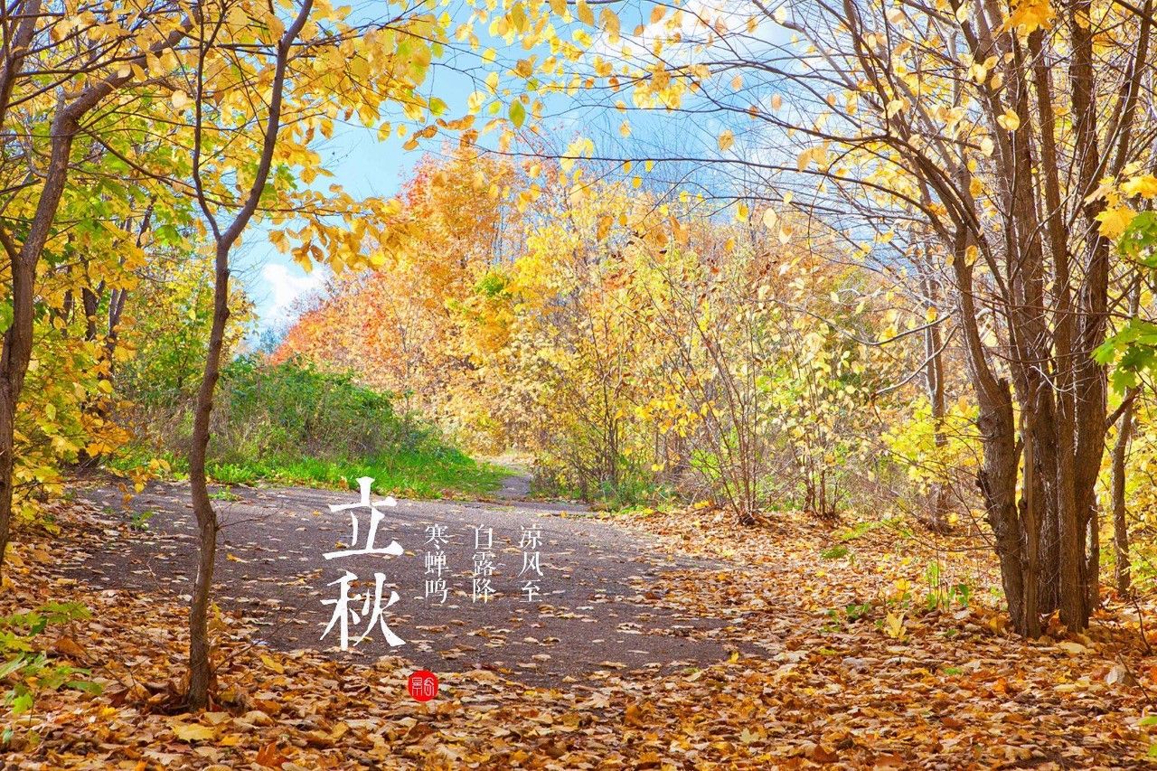 二十四节气七十二候_立秋一侯二候三候节气_一侯二候三候节气