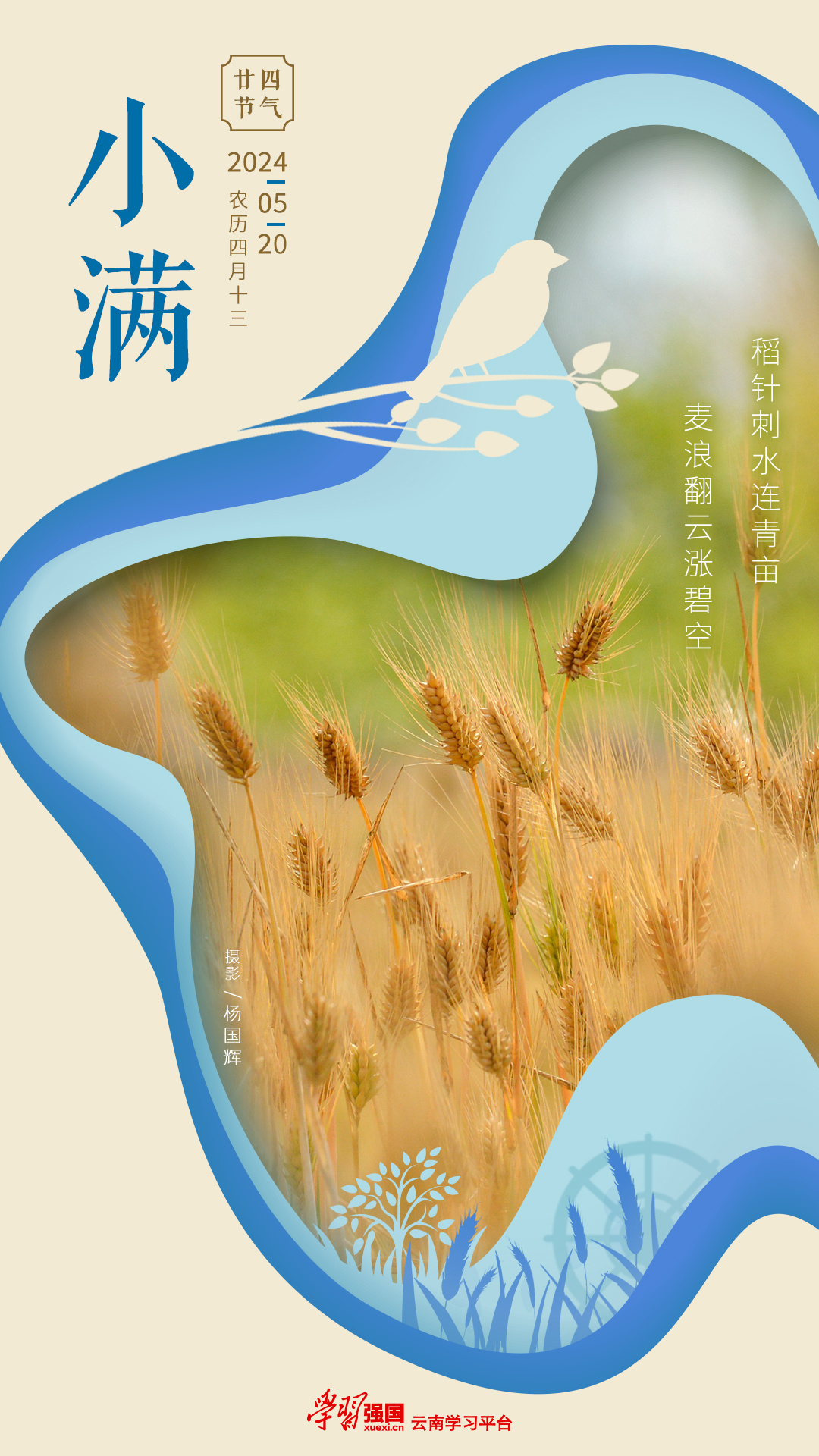 立秋一侯二候三候节气_一侯二候三候节气_二十四节气七十二候