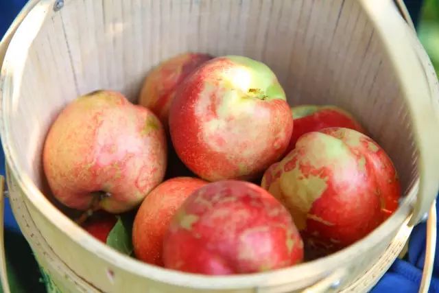 热带雨免费观看完整版_热带雨在线观看_热带雨完整在线观看