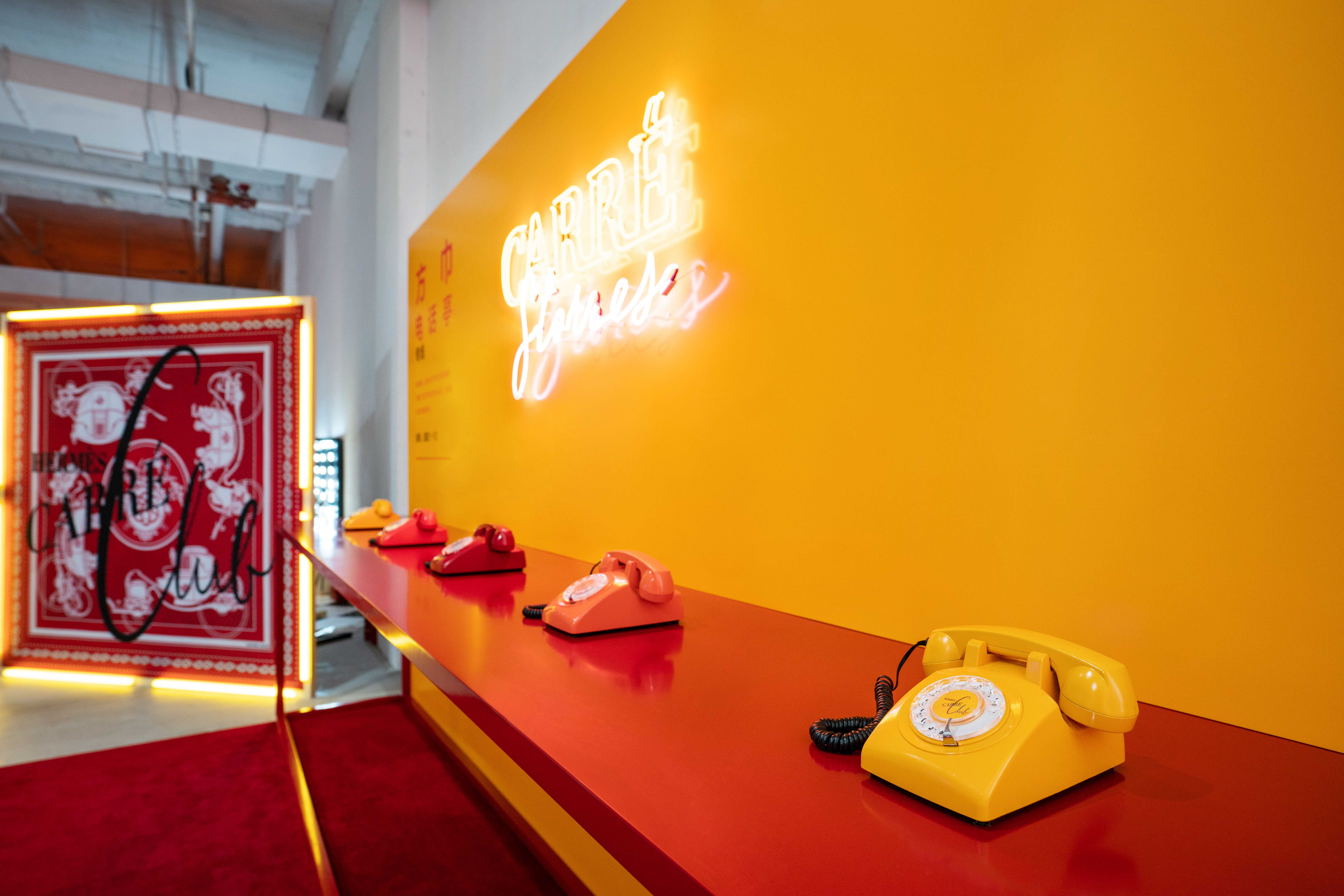 雪兔_雪兔_雪兔