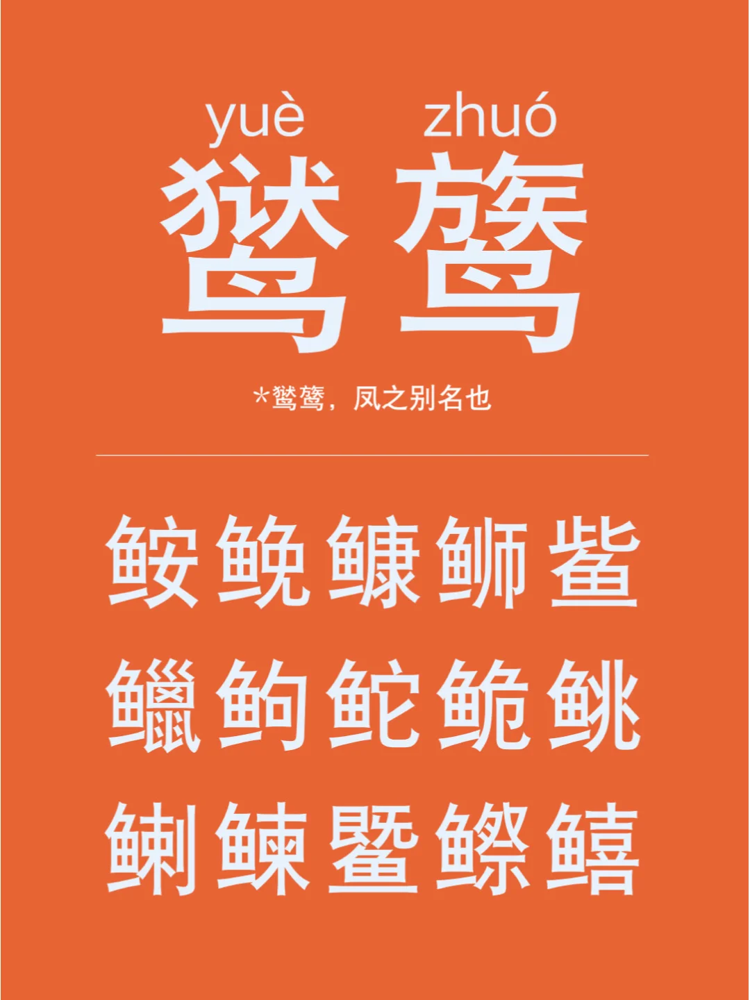 守护汉字游戏手机：让汉字在指尖跳跃，传承文化根脉