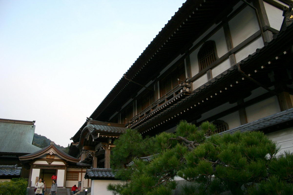 神奈川县怎么读_神奈川县_神奈川县的动漫人物
