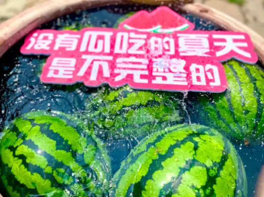 布鲁玛是什么衣服_布鲁玛_布鲁玛