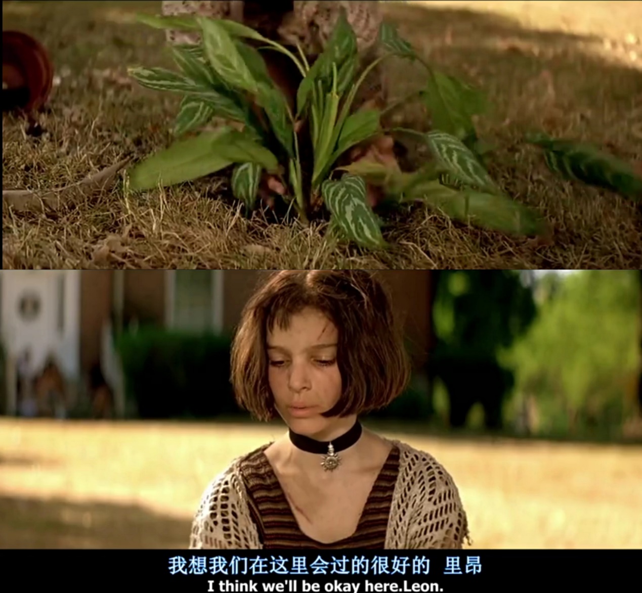 c1521.us.to_usnews_我们us