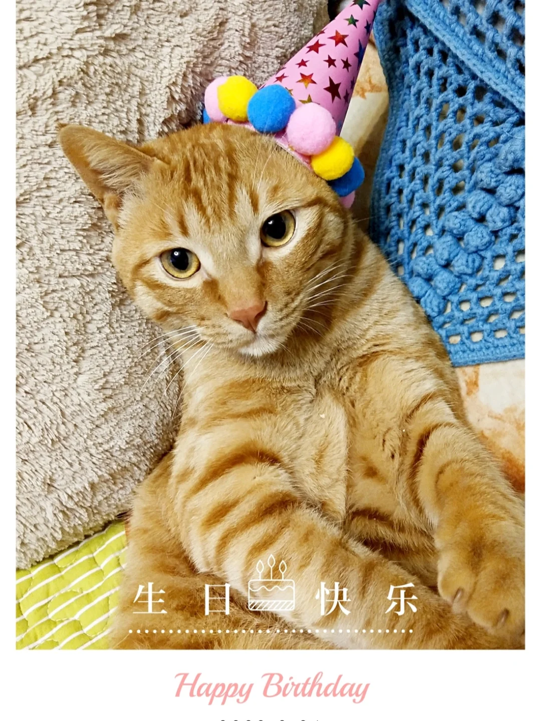 星之卡比帝帝帝大王_帝大王大_帝帝帝大王