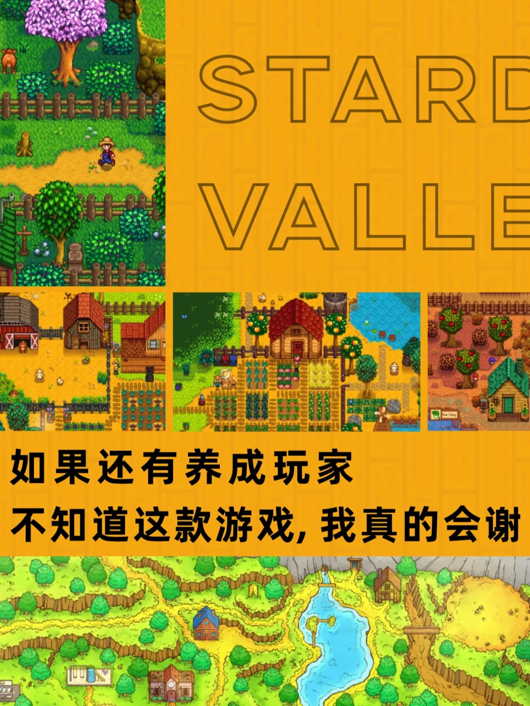 跳水游戏手机：心跳加速的刺激体验，多人比拼的成就感