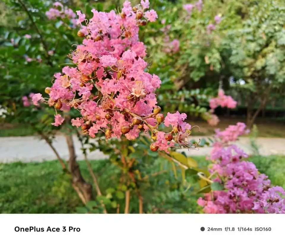 oppoa11x缺点_缺点和不足怎么写_缺点英语