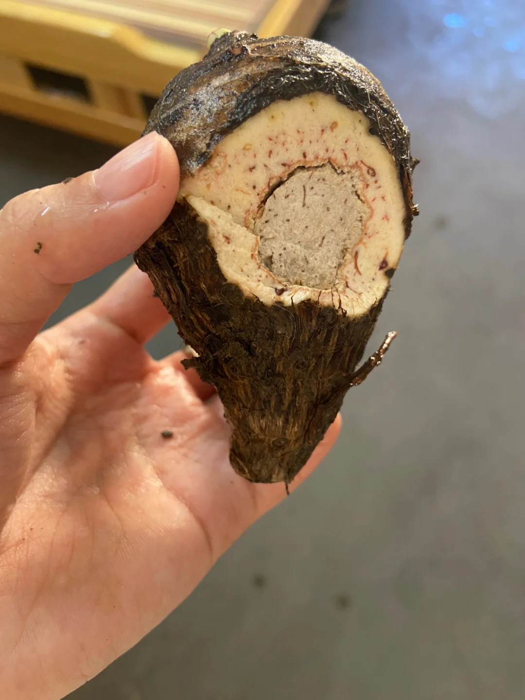游戏方面的二手手机能买吗-二手手机玩游戏：小心踩雷，也能捡到宝