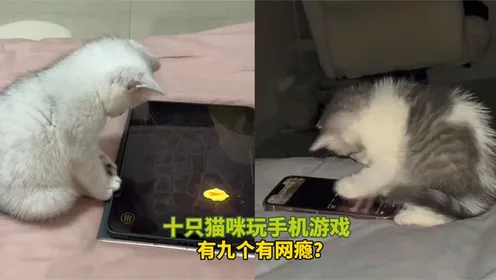 养手机宠物的游戏_手机养宠物哪个好玩_养宠物游戏手机游戏