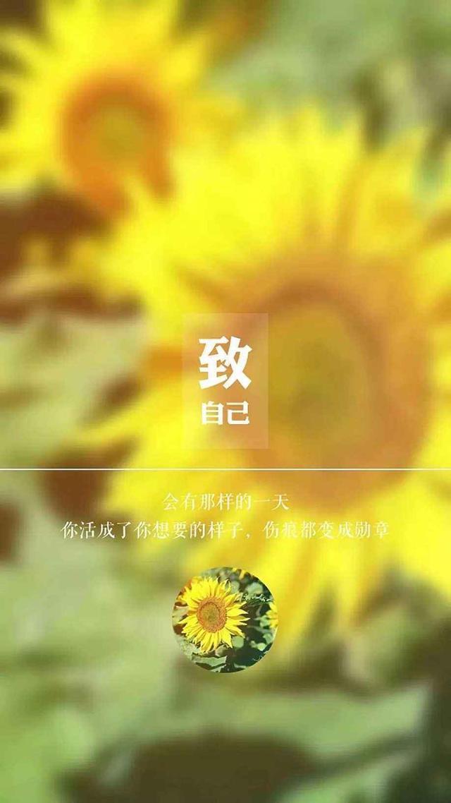 千树怜_千树怜_千树怜