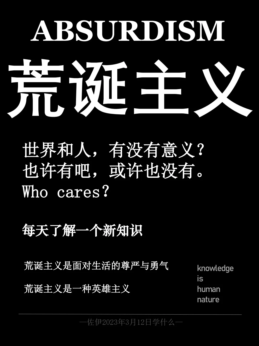 彩俐公主：梦想与希望的化身，勇气与智慧的象征