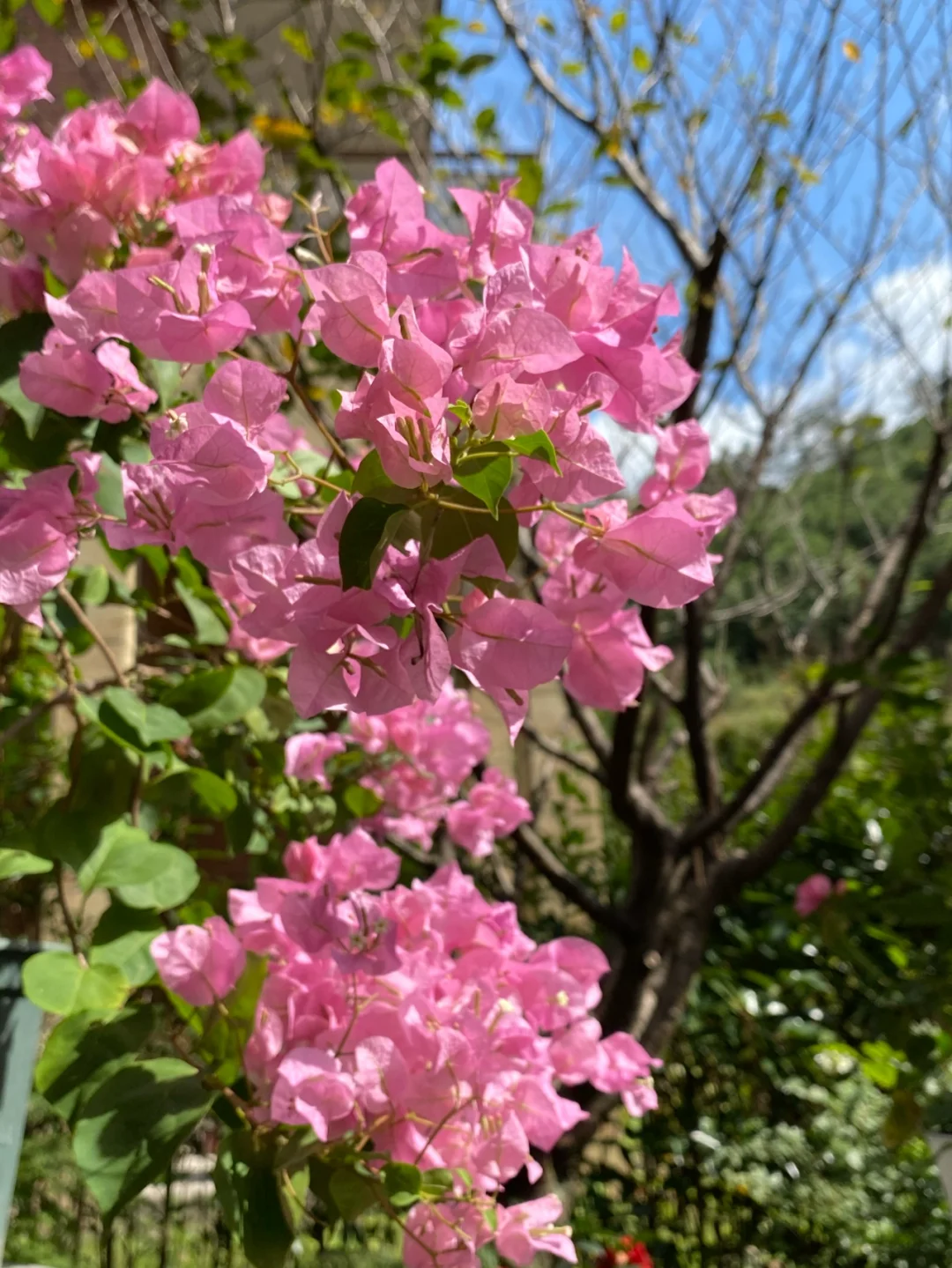 睡眠医生电影简介_睡眠医生和闪灵的关系_睡眠医生