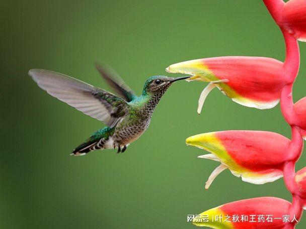 我要高飞_我要高飞_我要高飞