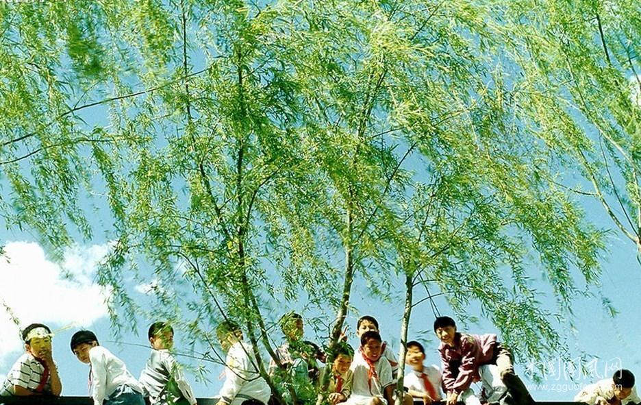 木糖醇厂家_木糖醇的价格_木糖