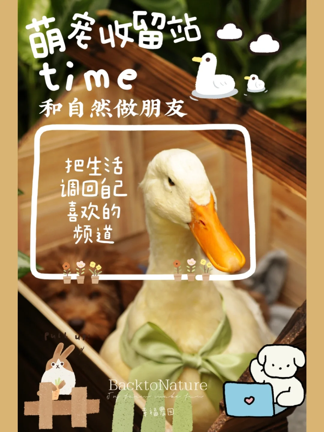 一只渣渣兔手机游戏解说-渣渣兔大冒险：萌兔外表下的热血挑战，治愈画风与简单操作的完美结合