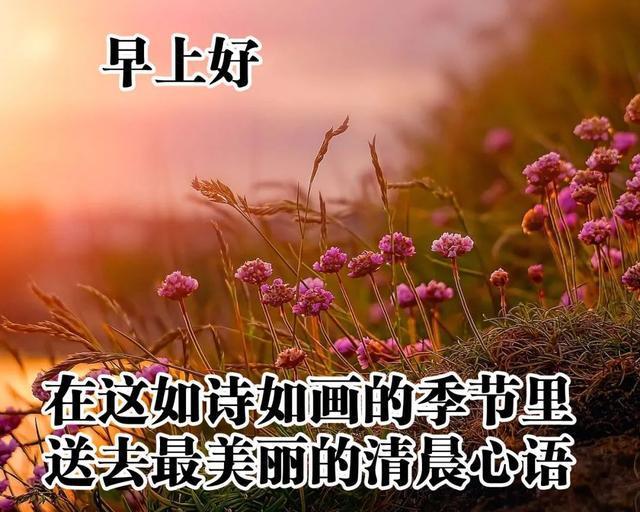 草莓味的喵喵酱_草莓味喵喵酱4000粉露脸_草莓味の喵喵酱用的光影
