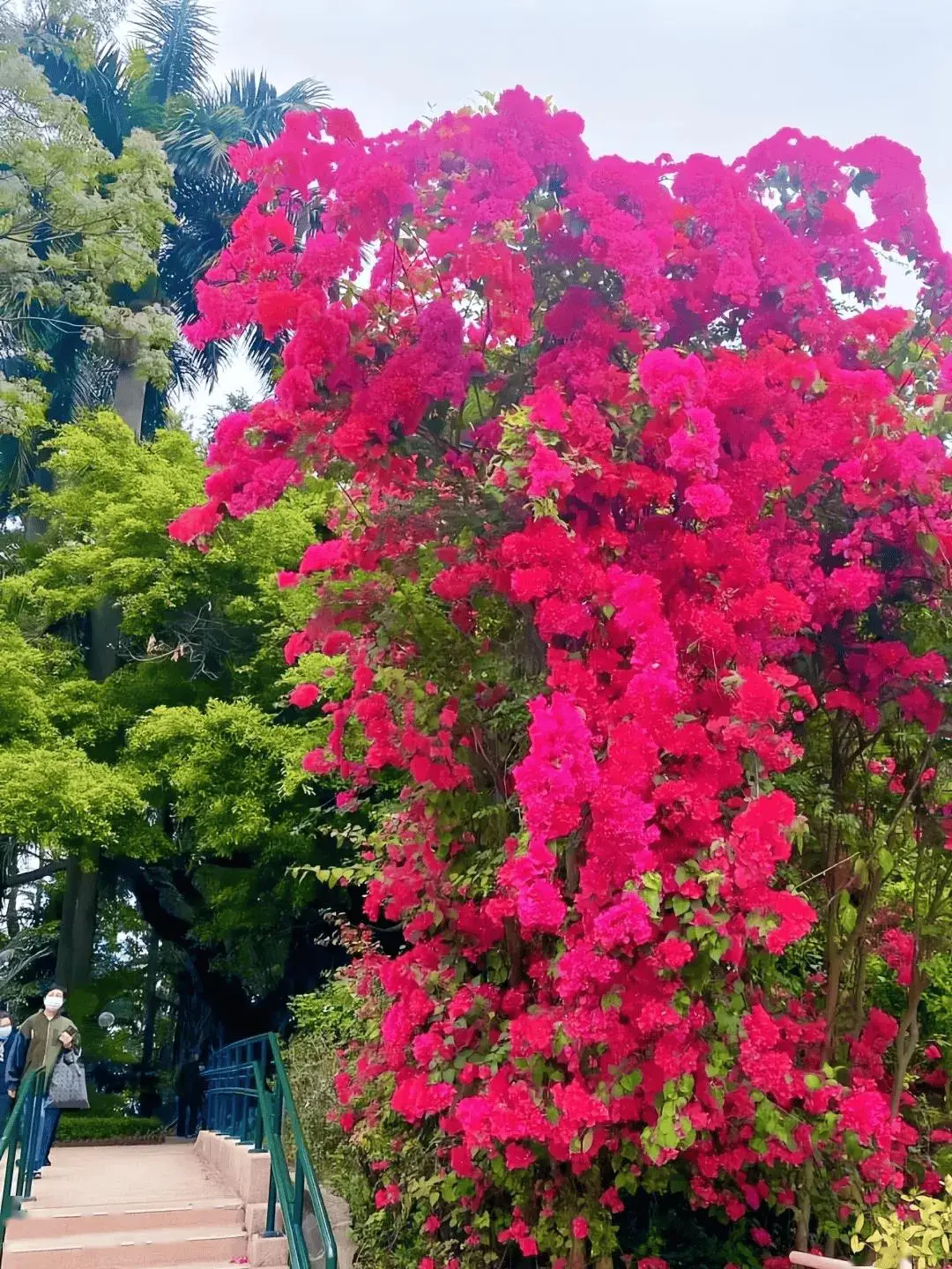 布莱德诺亚：喧嚣城市中的宁静避风港，真实自我的归属地