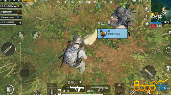 吃小鸡软件_下载手机小游戏吃鸡_鸡吃米游戏