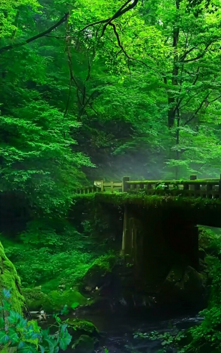 鲇川_鲇川_鲇川