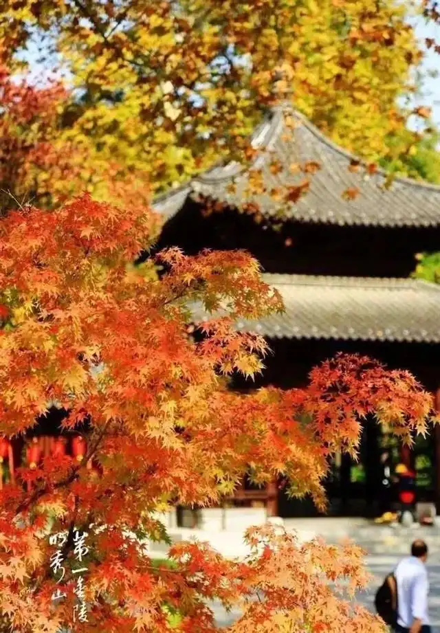 印记手机游戏有什么用_为什么手机有游戏的印记_记忆手机游戏